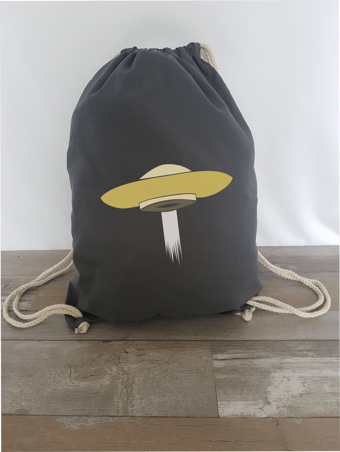 Beispielbild Ufo 2.png